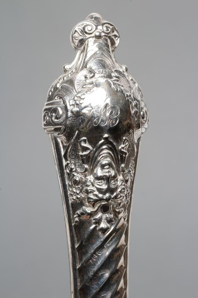 A LATE VICTORIAN LARGE SHOE HORN AND BOOT BUTTON HOOK Image