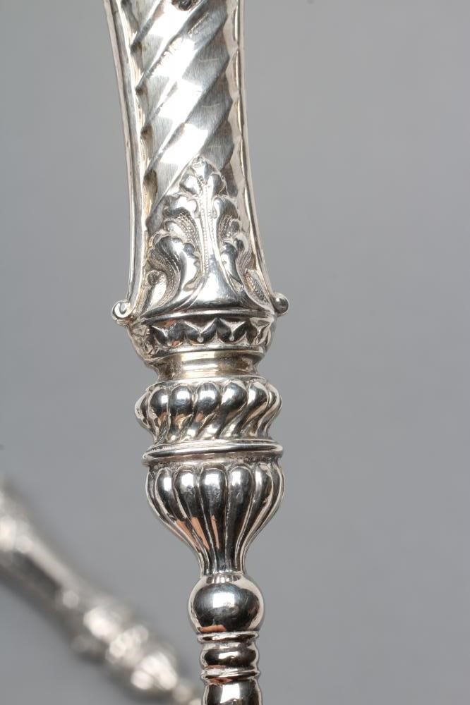 A LATE VICTORIAN LARGE SHOE HORN AND BOOT BUTTON HOOK Image