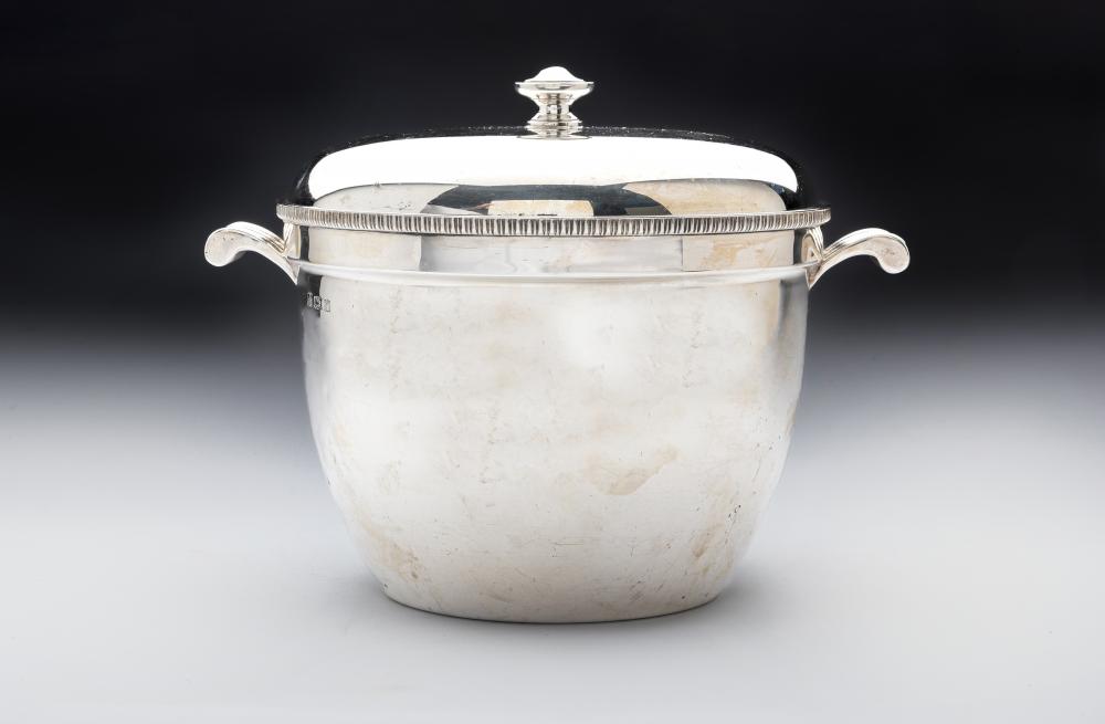 AN ICE BUCKET AND COVER Image