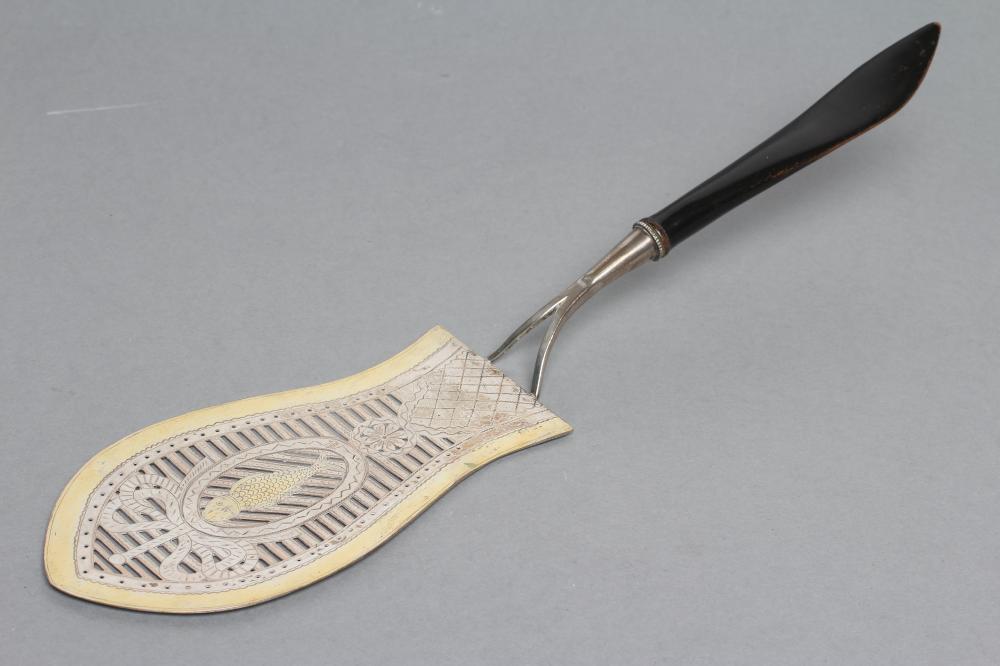 A FISH SLICE Image