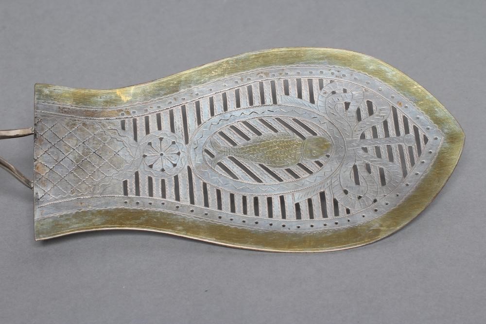 A FISH SLICE Image