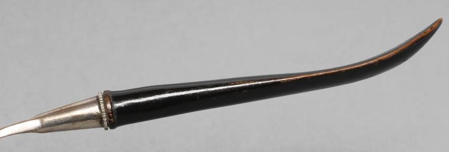 A FISH SLICE Image