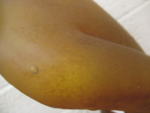 KJELL ENGMAN FOR KOSTA BODA - a large mottled amber glass figural electric table lamp base from the Image