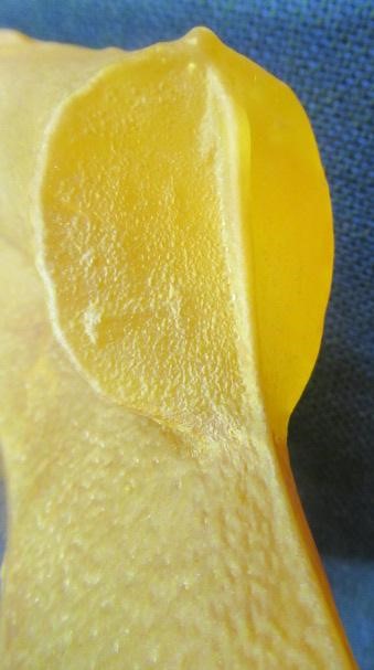 KJELL ENGMAN FOR KOSTA BODA - a large mottled amber glass figural electric table lamp base from the Image