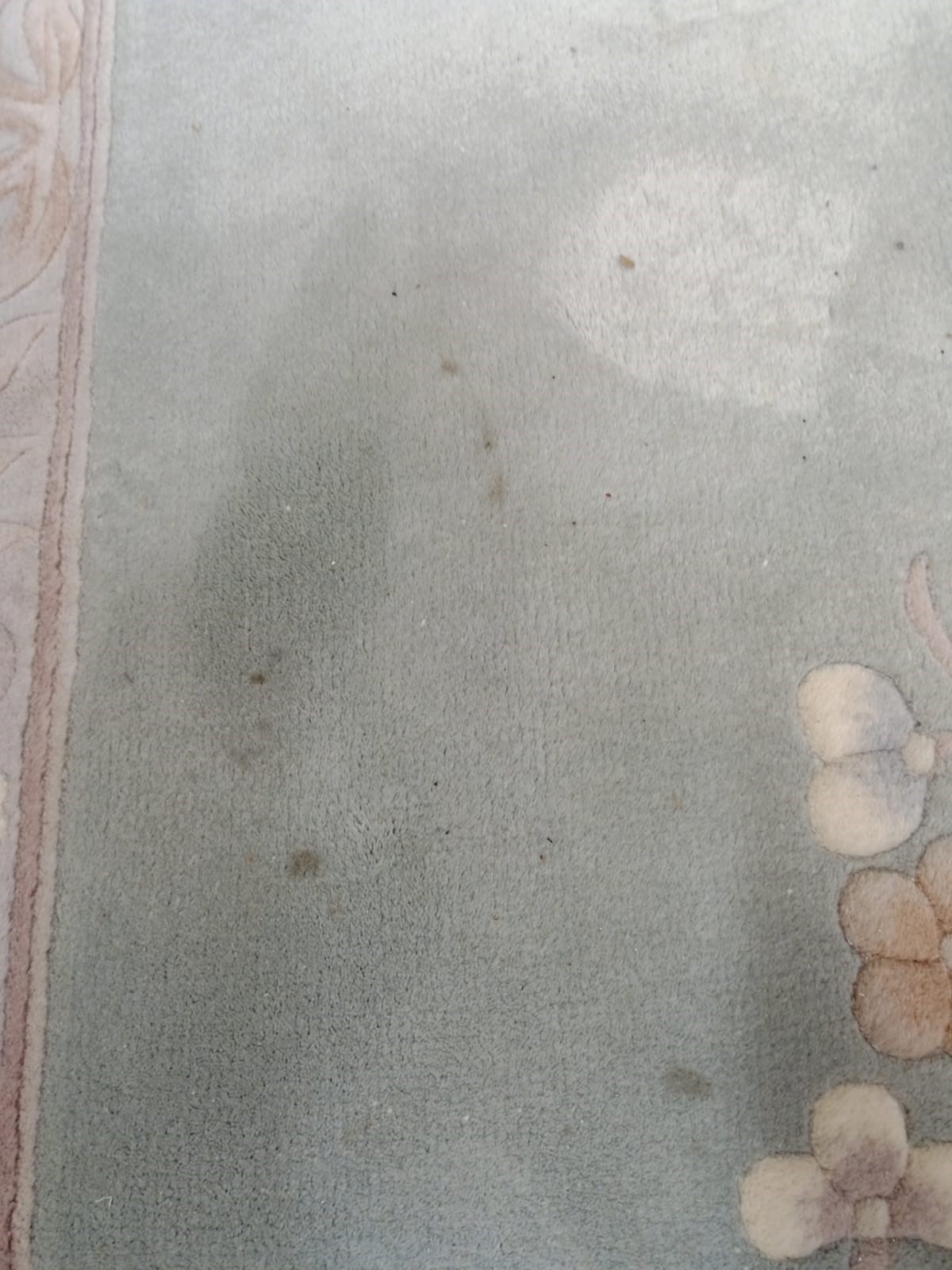 A CHINESE WASHED AND FRINGED CARPET Image