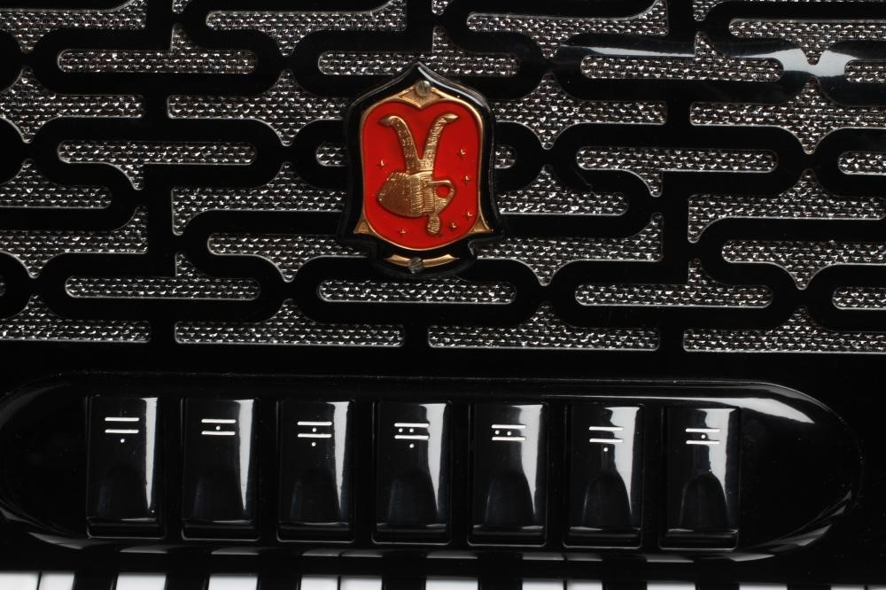 A PAOLO SOPRANI PROFESSIONALE II ACCORDION in black Image