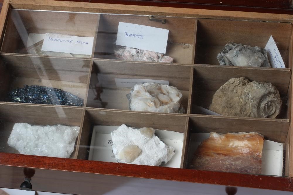 A MAHOGANY SPECIMEN CABINET Image