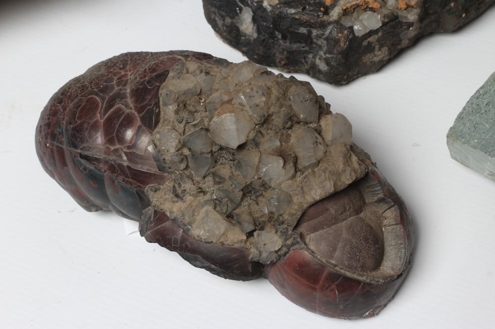 EIGHT LARGE GEOLOGICAL SPECIMENS Image