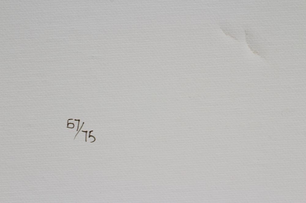 MACKENZIE THORPE (b.1956) Image