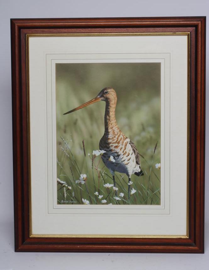 MICHAEL DEMAIN (b.1958) Image