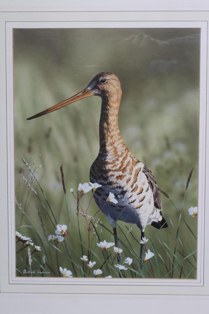 MICHAEL DEMAIN (b.1958) Image