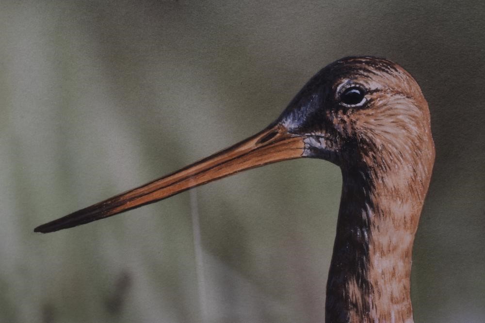 MICHAEL DEMAIN (b.1958) Image