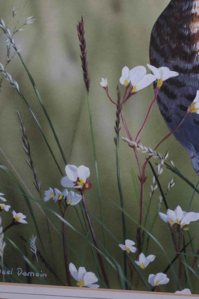 MICHAEL DEMAIN (b.1958) Image