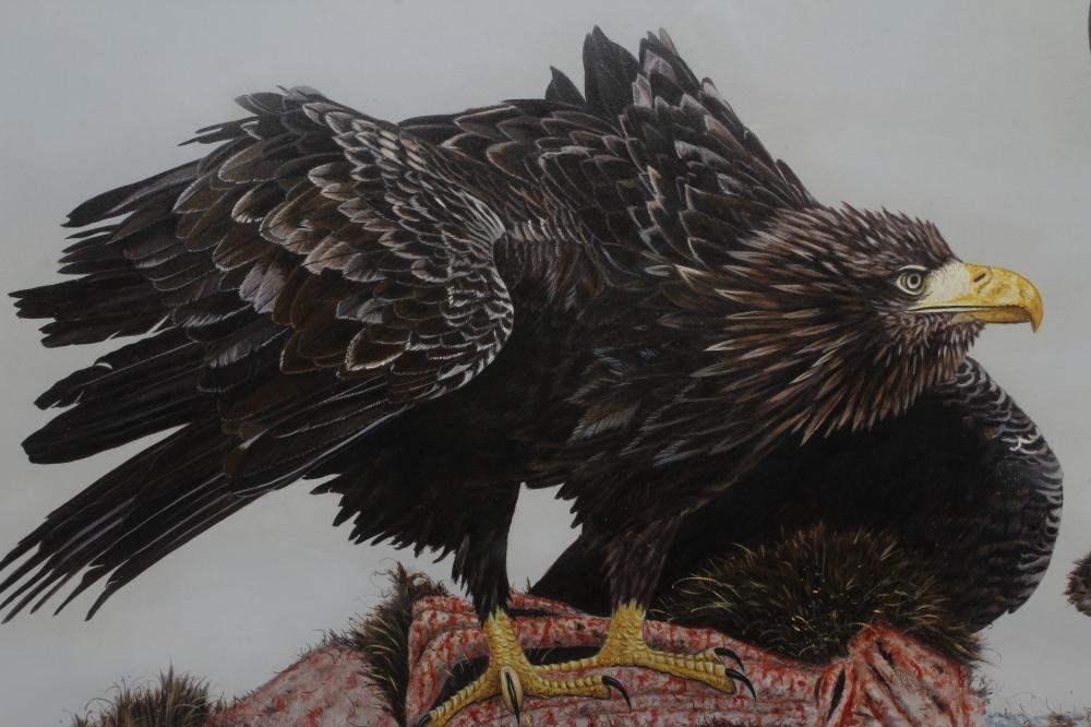 MICHAEL DEMAIN (b.1957) Image