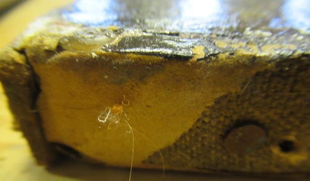 CIRCLE OF SIR GODFREY KNELLER (1646-1723) Image