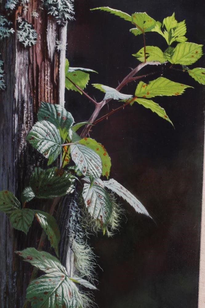 MICHAEL DEMAIN (b.1957) Image