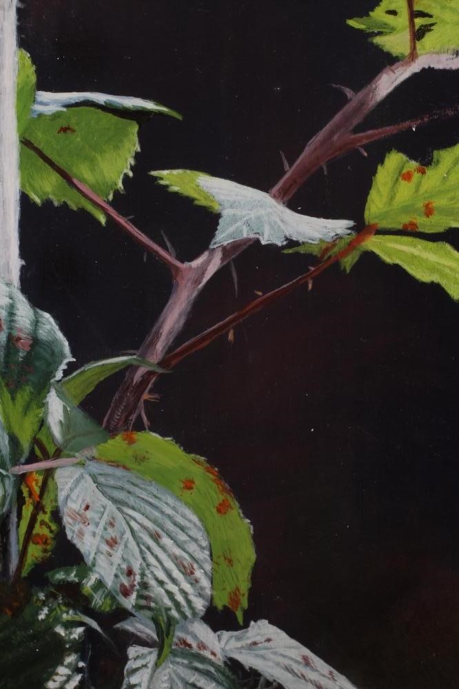 MICHAEL DEMAIN (b.1957) Image