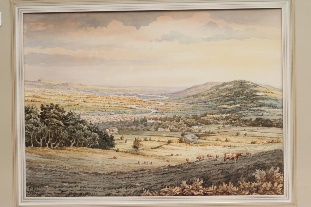 DAVID MORRELL (Contemporary) Image