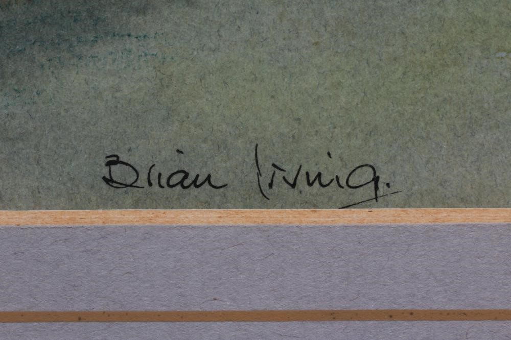 BRIAN IRVING (1931-2013) Image