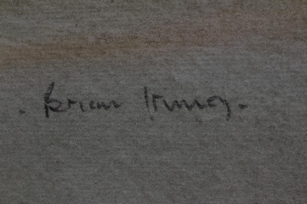 BRIAN IRVING (1931-2013) Image