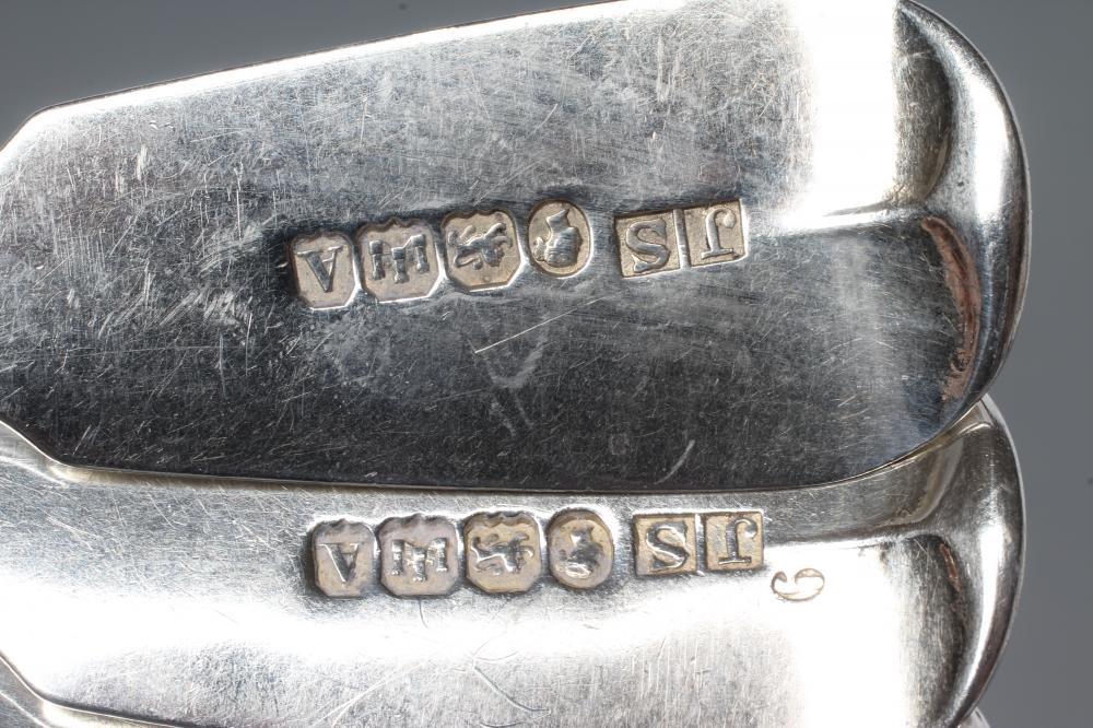 A SET OF NINE VICTORIAN SILVER DESSERT SPOONS Image