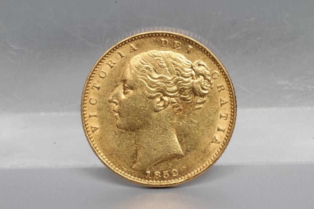 A VICTORIA SHIELD BACK YH SOVEREIGN Image