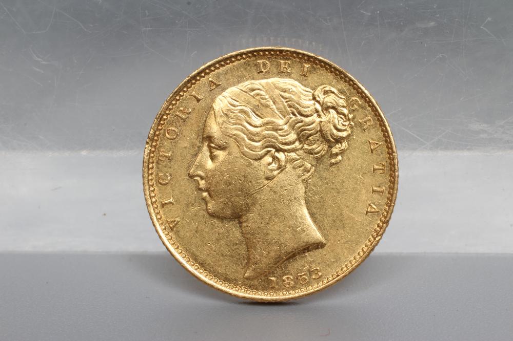 A VICTORIA SHIELD BACK YH SOVEREIGN Image