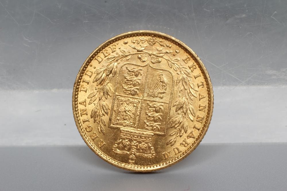 A VICTORIA SHIELD BACK YH SOVEREIGN Image