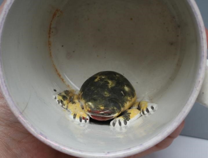 A SUNDERLAND LUSTRE FROG MUG Image