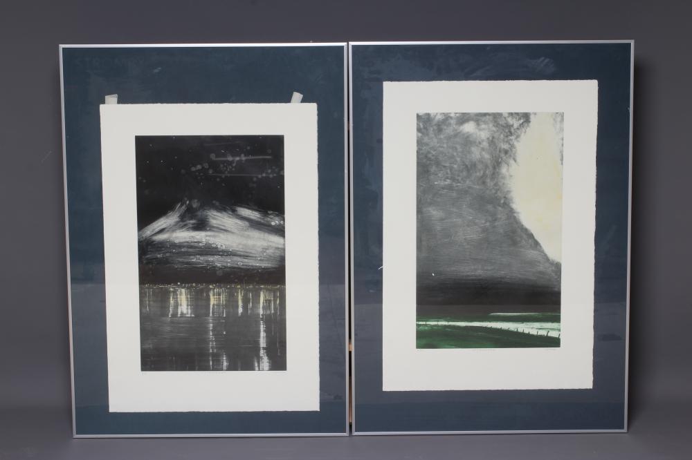 ORNULF OPDAHL (Norwegian b.1944) Image