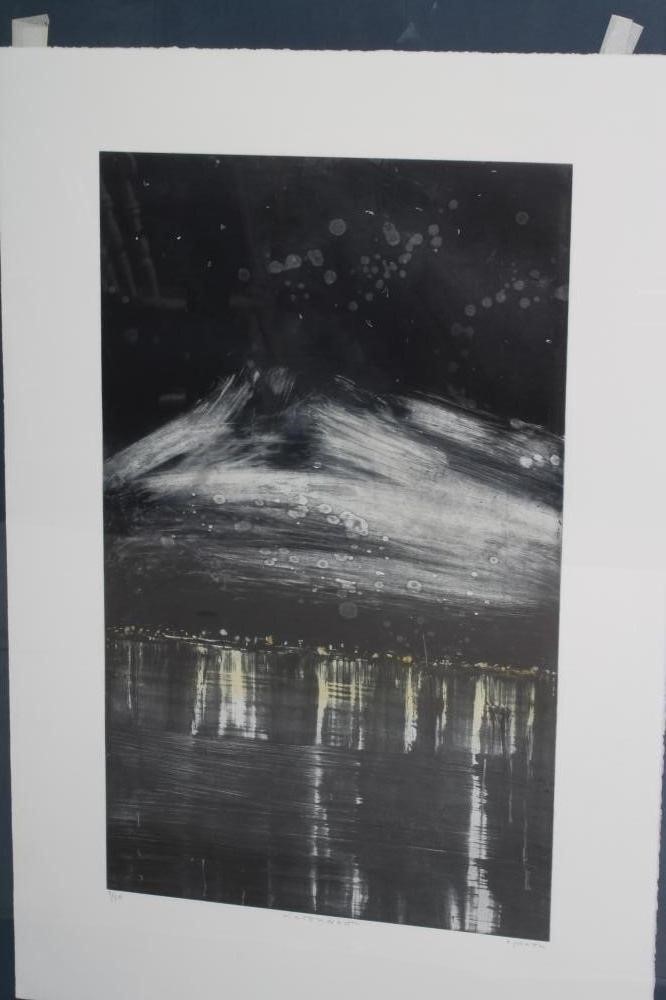 ORNULF OPDAHL (Norwegian b.1944) Image