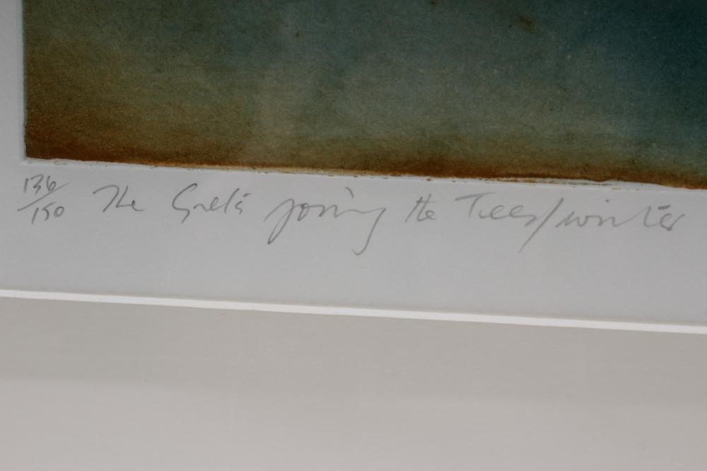 DONALD WILKINSON (b.1937) Image