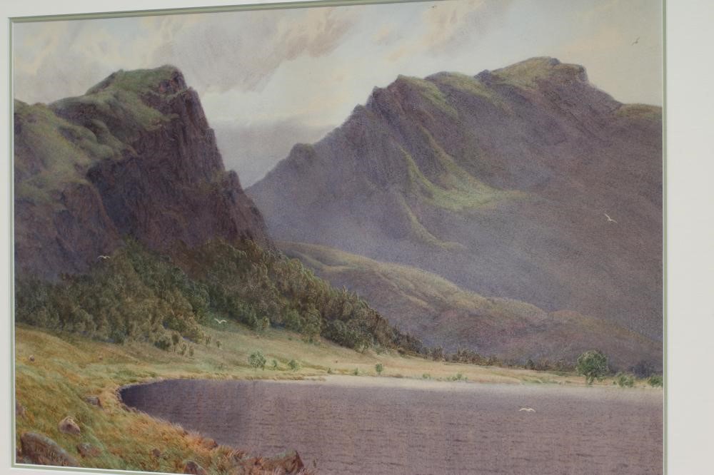 ISAAC COOKE (1846-1922) Image