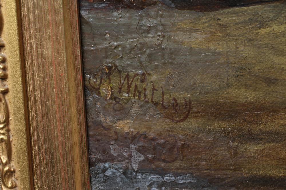 (?) WHITLEY (19th Century) Image