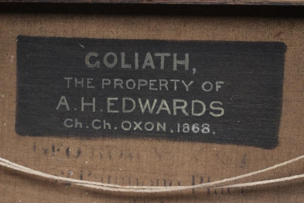 J. TURNER (19th Century) Image