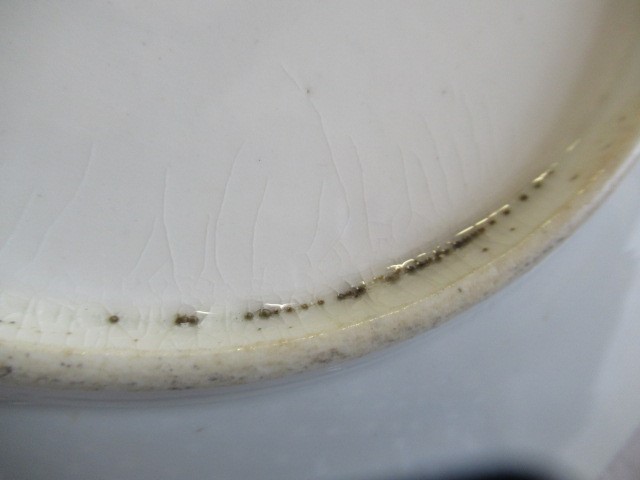AN ENGLISH PORCELAIN FLUTED TEA SERVICE Image