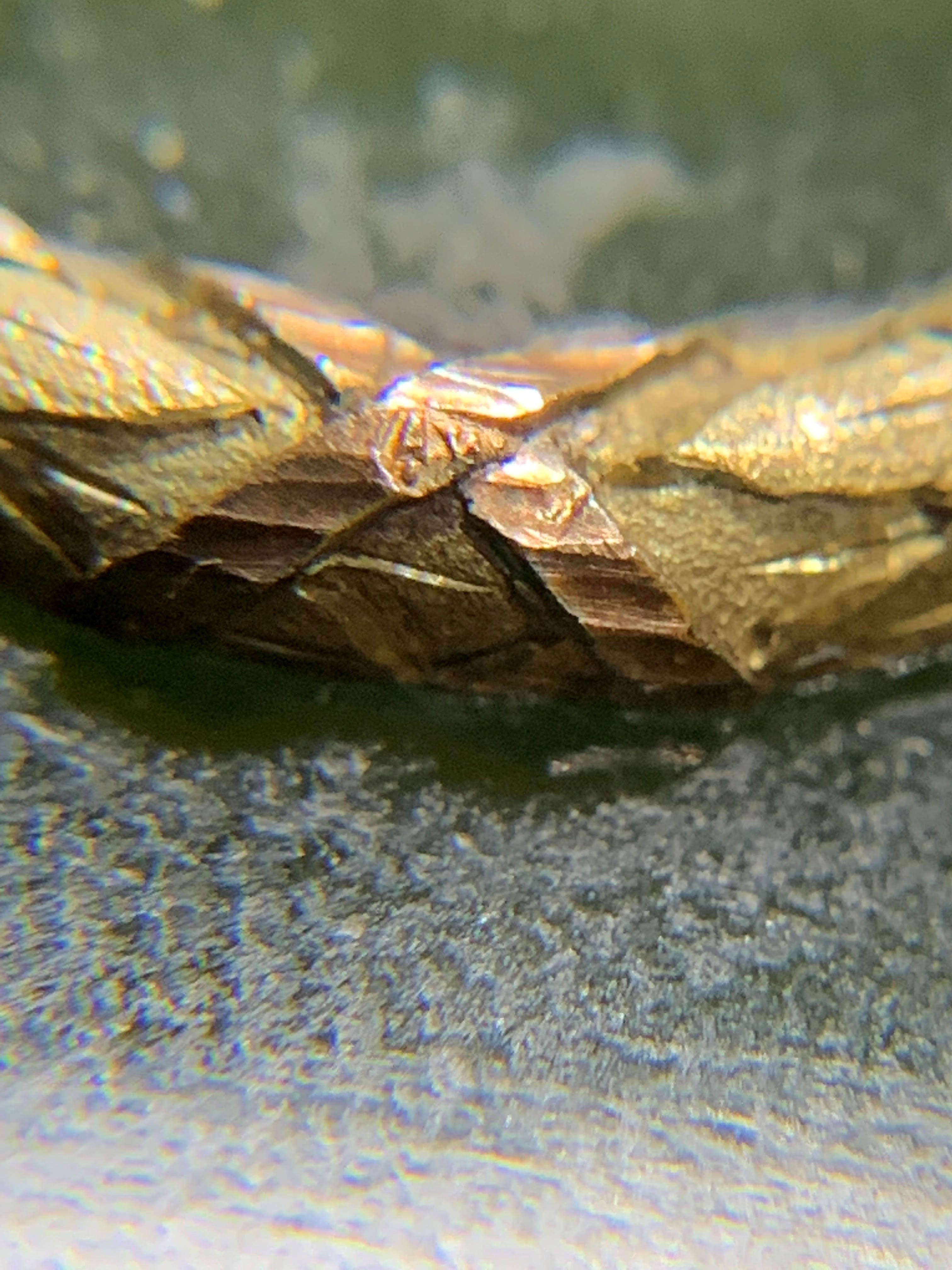 KARL GUSTAF HJALMAR ARMFELT (1873-1959) for FABERGE -  a jewelled vari-coloured gold mounted Image