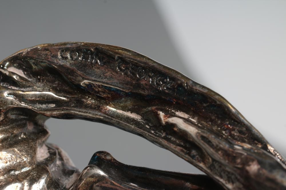 AFTER COLIN GEORGE Image