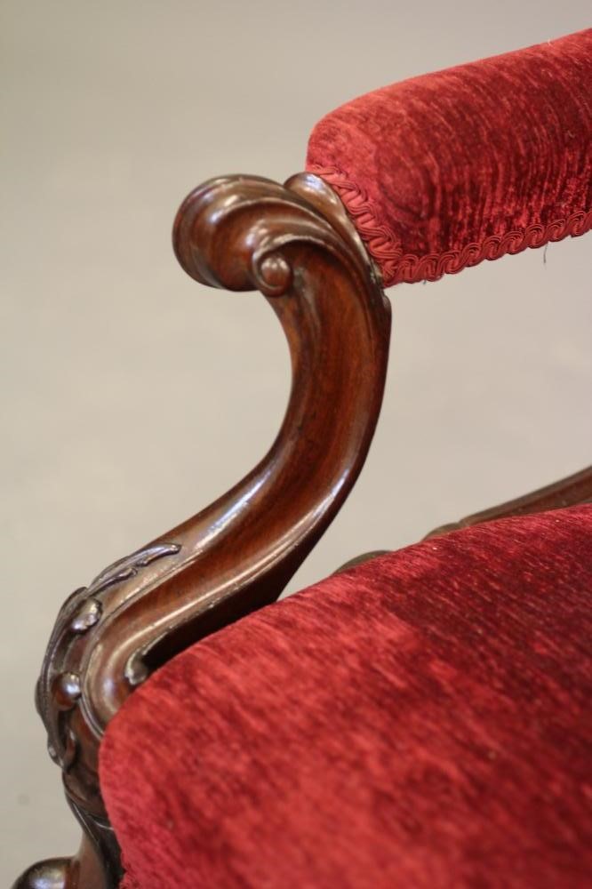 A VICTORIAN SHOW WOOD MAHOGANY ARMCHAIR button upholstered in red chenille by Gisbert Rentmeister Image