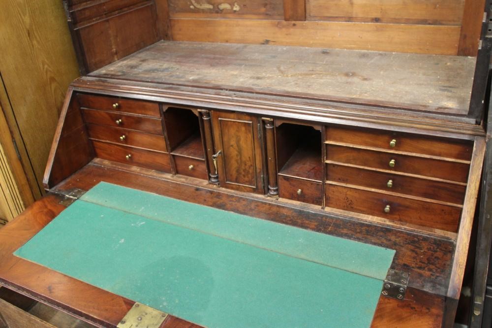 A VICTORIAN BURR WALNUT COLLECTORS CABINET of oblong form with satinwood banding and gilt metal Image