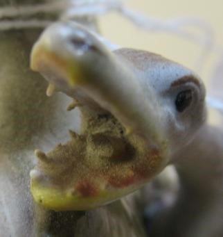 TWO MEISSEN PORCELAIN OWLS Image