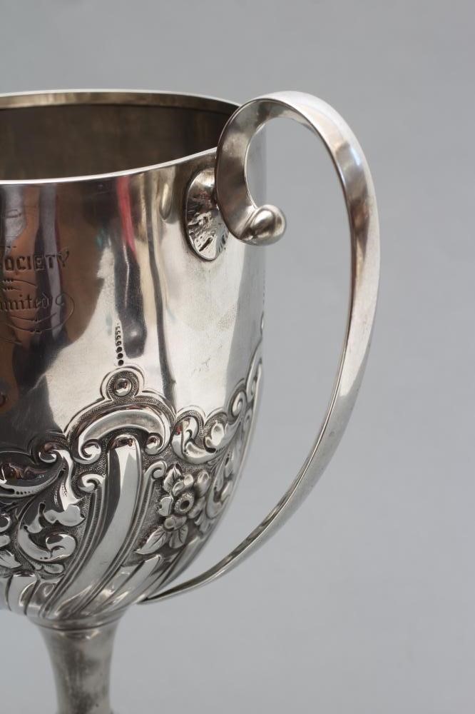AN EDWARDIAN TROPHY Image