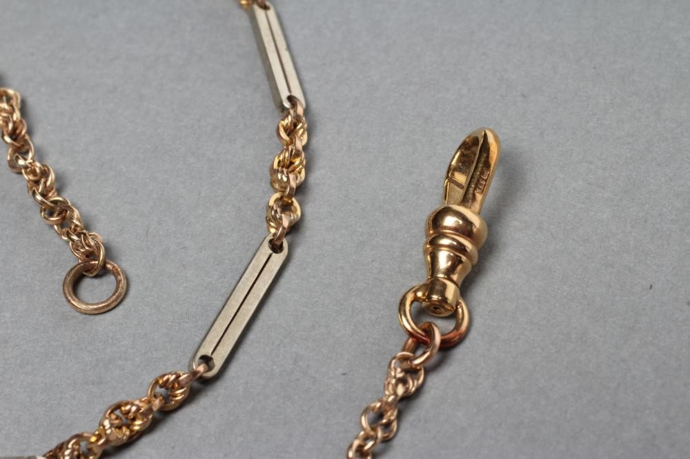 A 9CT BI-COLOUR GOLD ALBERTINA CHAIN Image