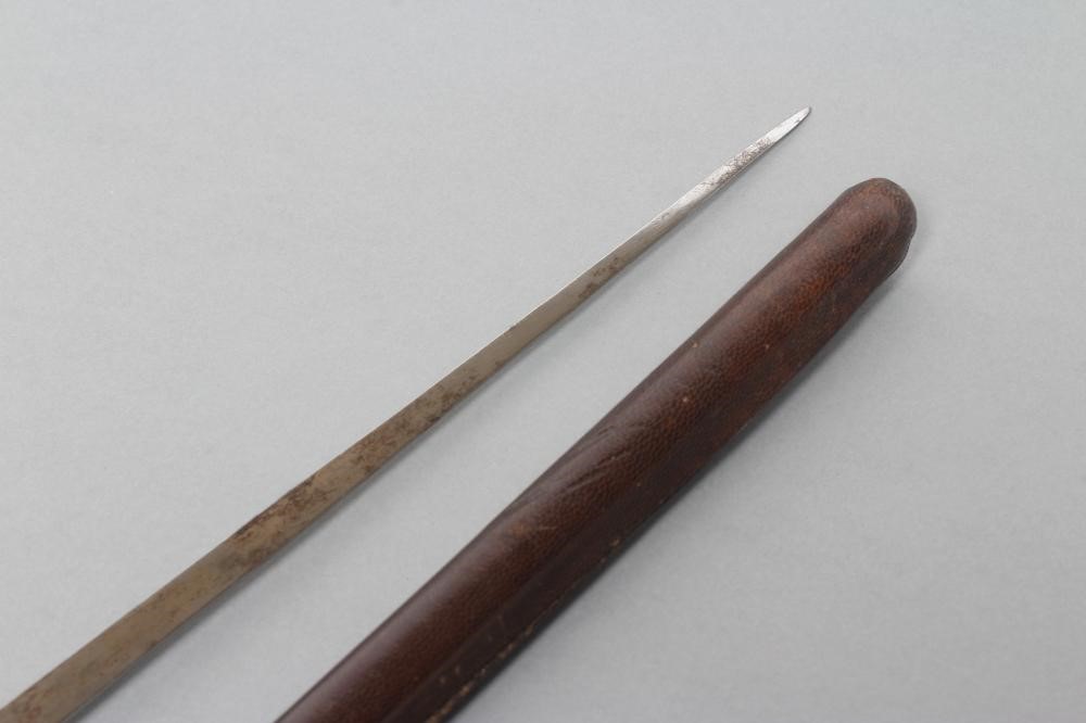 A SWAGGER SWORD STICK Image