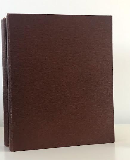 LONDON AND ITS ENVIRONS IN THE NINETEENTH CENTURY Image