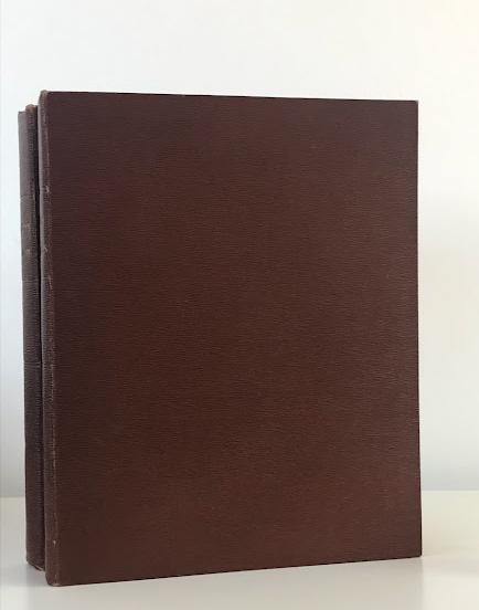 LONDON AND ITS ENVIRONS IN THE NINETEENTH CENTURY Image