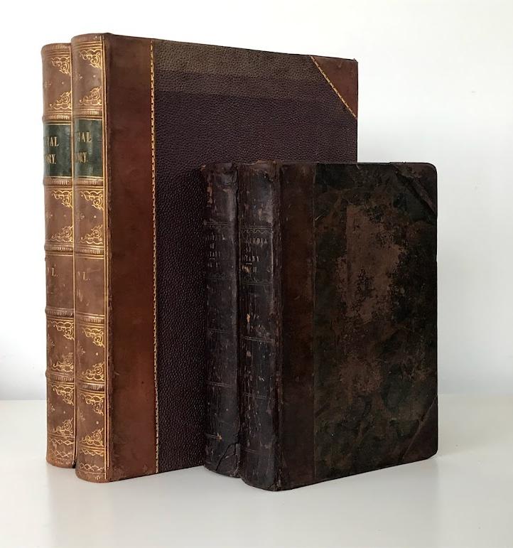 THE CYCLOPAEDIA OF BOTANY Image