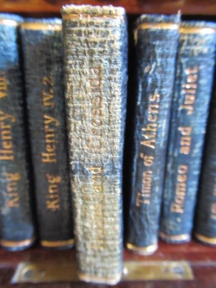 MINIATURE SHAKESPEARE Image