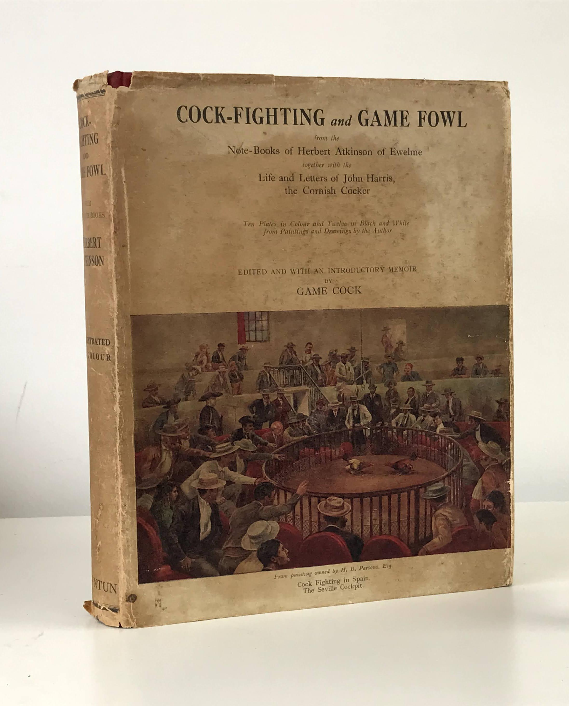 COCK -FIGHTING AND GAME FOWL Image