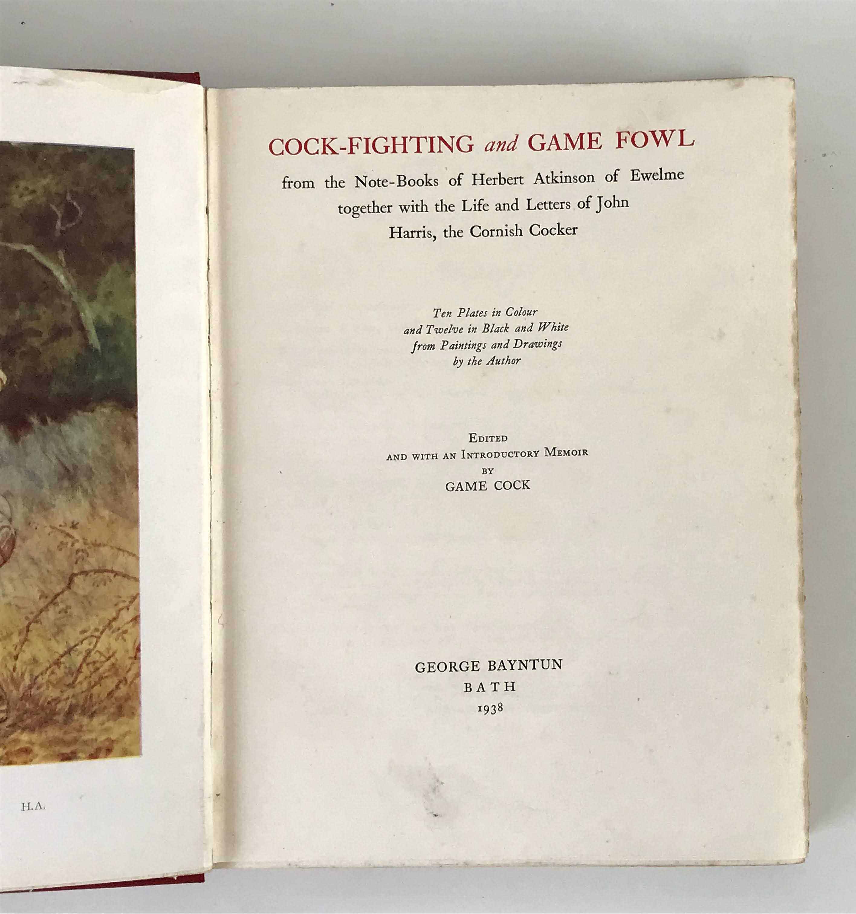 COCK -FIGHTING AND GAME FOWL Image